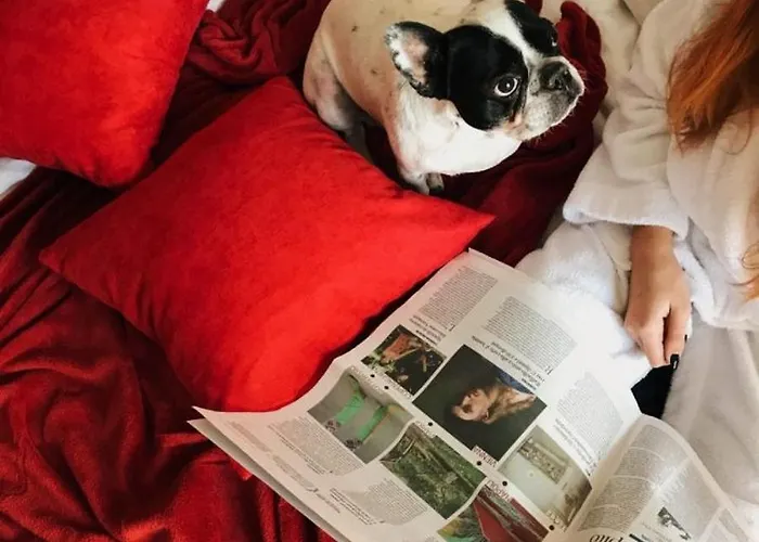 Orange 3* אודסה